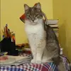 Отзыв от Лилия Судакова
